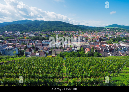 Vigneti, Freiburg, Baden-Württemberg, Germania, Europa Foto Stock