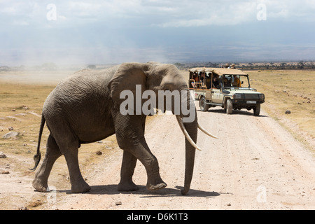 Elefante africano (Loxodonta africana) e turisti, Amboseli National Park, Kenya, Africa orientale, Africa Foto Stock