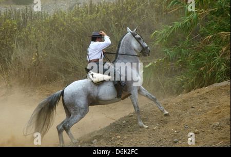 Uomo a cavallo che indossa Cordobes hat in costume tradizionale durante la romeria di Fuengirola, Andalusia, Spagna. Foto Stock