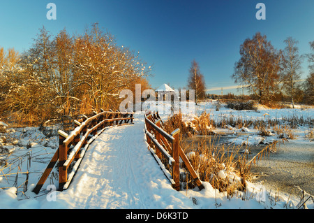 Scena invernale, Schwenninger Moos riserva naturale, Villingen-Schwenningen, Baden-Württemberg, Germania, Europa Foto Stock