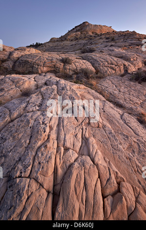 Arenaria Navajo al crepuscolo, Grand Staircase-Escalante monumento nazionale, Utah, Stati Uniti d'America, America del Nord Foto Stock