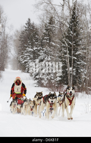 Il team di cani e musher Keith Aili sul sentiero tra il Sawbill e Finlandia checkpoint durante il John Beargrease marathon. Foto Stock