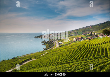 Lavaux vigneti terrazzati sul Lago di Ginevra, Montreux, Canton Vaud, Svizzera, Europa Foto Stock