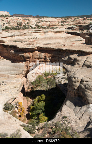 Ponti naturali monumento nazionale, Utah, Stati Uniti d'America, America del Nord Foto Stock