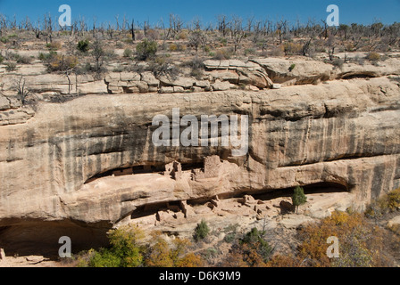 Il Parco Nazionale di Mesa Verde, Sito Patrimonio Mondiale dell'UNESCO, Colorado, Stati Uniti d'America, America del Nord Foto Stock