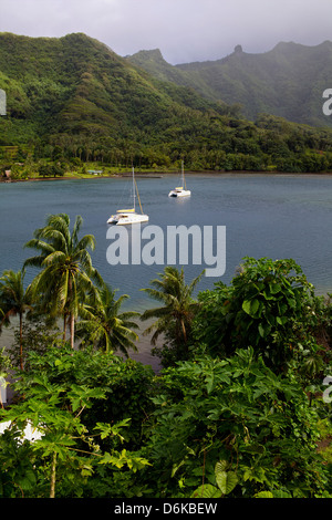 Una crociera in catamarano la baia di Hamanee in Tahaa, Polinesia francese, Isole del Pacifico e del Pacifico Foto Stock