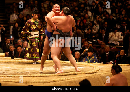 Due lottatori di sumo spingendo molto per mettere il loro avversario fuori del cerchio, sumo wrestling concorrenza, Tokyo, Giappone, Asia Foto Stock