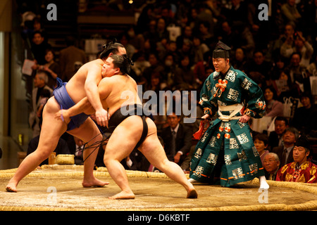Due lottatori di sumo lotta al Kokugikan stadium, Tokyo, Giappone, Asia Foto Stock