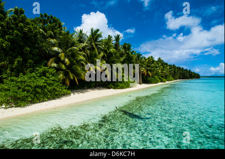 Il paradiso di spiaggia di sabbia bianca in acque turchesi su Ant Atoll, Pohnpei, Micronesia, Pacific Foto Stock