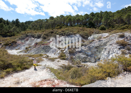 Cartelli di avvertimento in Wai-O-Tapu riserva geotermica Rotorua, Nuova Zelanda Foto Stock