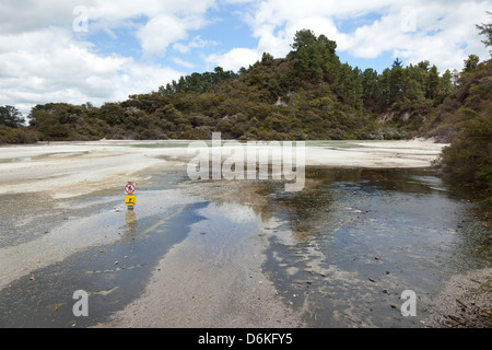 Padella piatta in Wai-O-Tapu riserva geotermica Rotorua, Nuova Zelanda Foto Stock