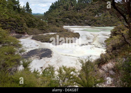 Wai-O-Tapu riserva geotermica Rotorua, Nuova Zelanda Foto Stock