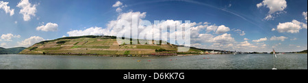 Valle del Medio Reno vicino a Ruedesheim nel Rheingau, Hesse, Germania Foto Stock