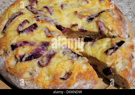 Formaggi italiani e la cipolla rossa pane focaccia. Foto Stock