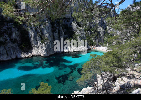 Le Calanche di en Vau, Cassis, Bouches du Rhône, 13, PACA, Francia. Foto Stock