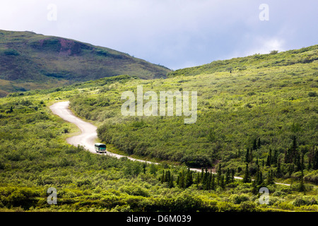 Gli autobus navetta su visitatori il limitato accesso Denali Park Road, Parco Nazionale di Denali, Alaska, STATI UNITI D'AMERICA Foto Stock