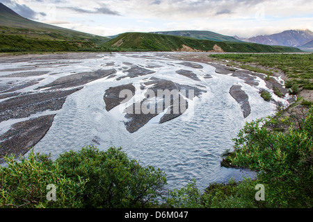 Crepuscolo skies riflettono in intrecciato forcella est del fiume Toklat, Parco Nazionale di Denali, Alaska, STATI UNITI D'AMERICA Foto Stock