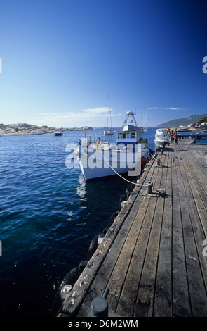 Australia e Tasmania, Bicheno, il gulch, popolare con il pescatore, una cattura garantita all'alba con le scuole di sgombro feed. Foto Stock