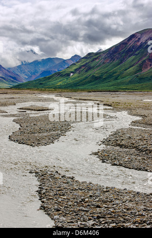 Toklat intrecciato di Fiume, Parco Nazionale di Denali, Alaska, STATI UNITI D'AMERICA Foto Stock