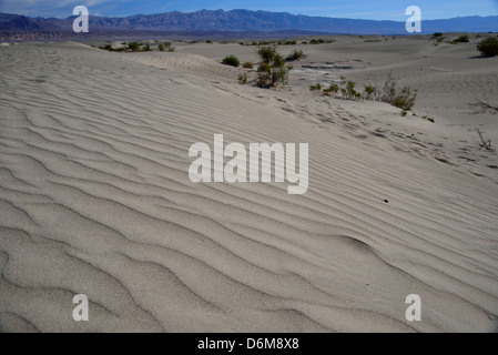 Le dune di sabbia vicino a tubo da stufa pozzetti. Parco Nazionale della Valle della Morte, California, Stati Uniti d'America. Foto Stock