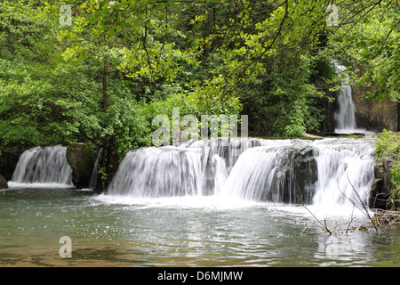 Bella rapids tra vegetazione vicino a Monte Gelato cascate. Roma, Italia Foto Stock