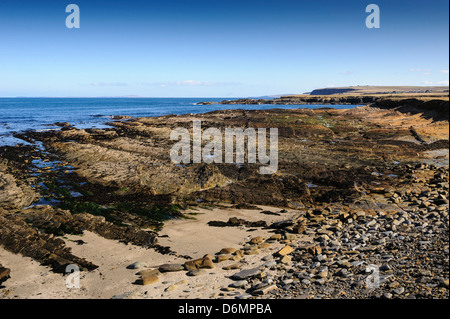 Coastal Uplift, Orkney continentale Foto Stock