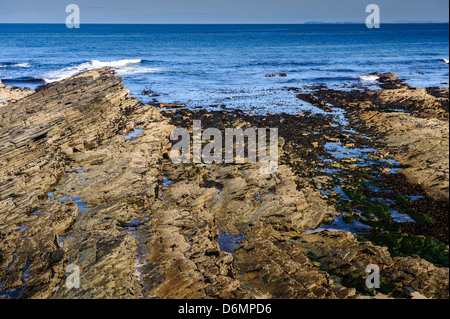 Coastal Uplift, Orkney continentale Foto Stock