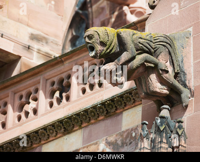 Doccioni sulla Cattedrale di Friburgo, Freiburg, Baden-Württemberg, Germania, Europa Foto Stock