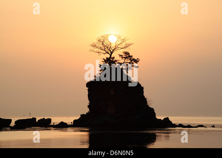 Sole di mattina presso la costa Amaharashi in Giappone Foto Stock