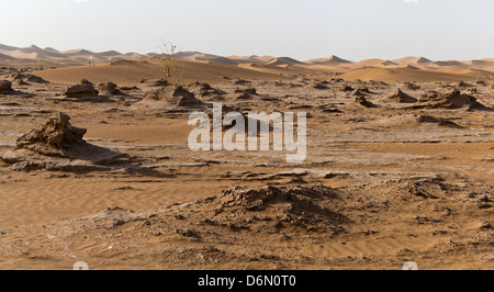 Paesaggio marocchino - guardando attraverso le pianure del sud del Marocco Foto Stock