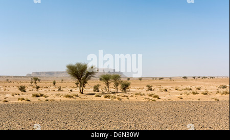 Paesaggio marocchino - guardando attraverso le pianure del sud del Marocco Foto Stock