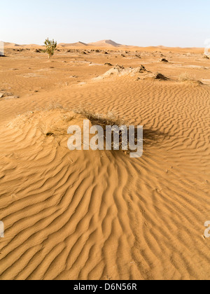 Paesaggio marocchino - guardando attraverso le pianure del sud del Marocco Foto Stock