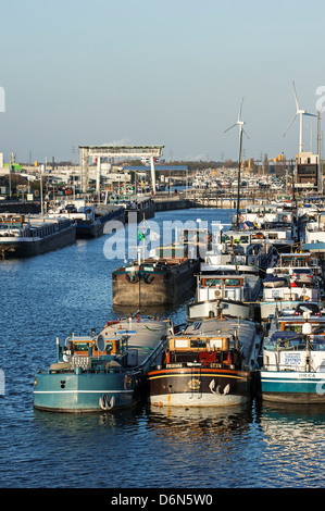 Le imbarcazioni per la navigazione fluviale / cargo battelli sul Ringvaart in attesa in Evergem serratura per immettere la porta di Gand, Belgio Foto Stock