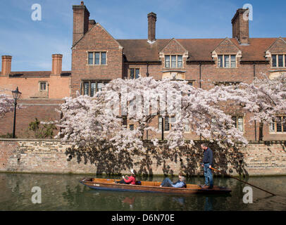 Cambridge, Regno Unito. Xxi Aprile, 2013. La gente di Cambridge sono fuori sul fiume puntting e godendo il sole come la primavera arriva finalmente. Credito: James Linsell-Clark/Alamy Live News Foto Stock