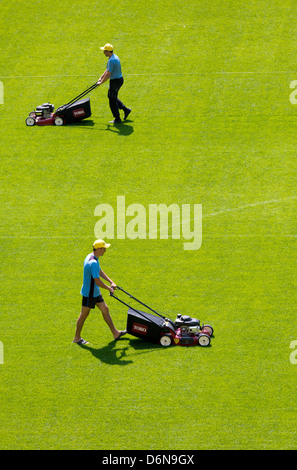 Lviv, Ucraina, la cura del prato all'Arena Lviv, Spielstaette per l'Euro 2012 Foto Stock