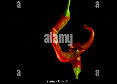 Nuova immagine concettuale con due peperoni su sfondo nero Foto Stock