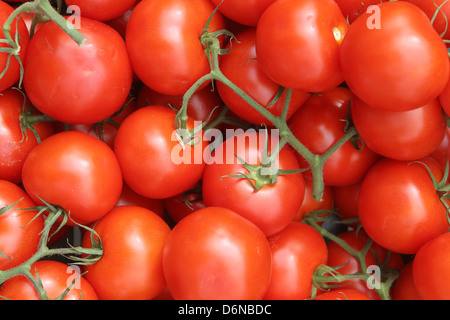 Handewitt, Germania, i pomodori in un display Foto Stock