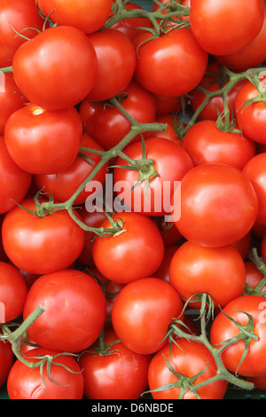 Handewitt, Germania, i pomodori in un display Foto Stock