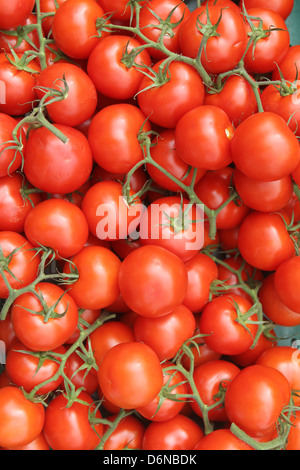 Handewitt, Germania, i pomodori in un display Foto Stock