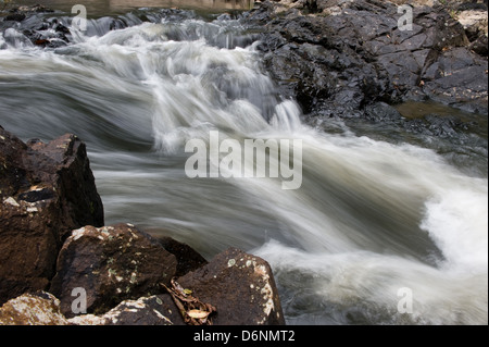 Nakhon Ratchasima, Thailandia, Khong Kaeo rapide nel Parco Nazionale di Khao Yai Foto Stock