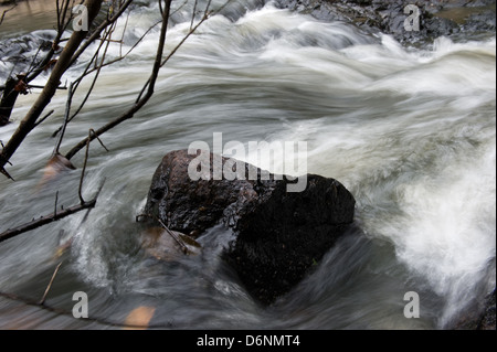 Nakhon Ratchasima, Thailandia, Khong Kaeo rapide nel Parco Nazionale di Khao Yai Foto Stock