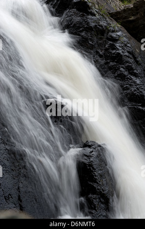 Nakhon Ratchasima, Thailandia, Khong Kaeo rapide nel Parco Nazionale di Khao Yai Foto Stock