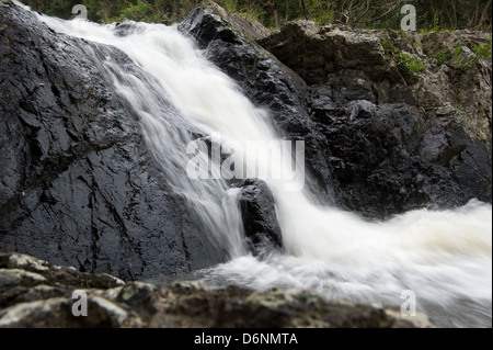 Nakhon Ratchasima, Thailandia, Khong Kaeo rapide nel Parco Nazionale di Khao Yai Foto Stock