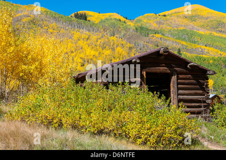 Edifici circondati da fogliame autunnale Ashcroft città fantasma, Pitkin County vicino a Aspen Colorado. Foto Stock