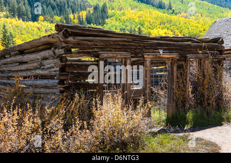 Edifici circondati da fogliame autunnale Ashcroft città fantasma, Pitkin County vicino a Aspen Colorado. Foto Stock