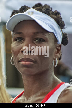 Delray Beach, Florida, Stati Uniti d'America. Xxi Aprile, 2013. Ritratto di Venus WILLIAMS. Classificato n. 22 in tutto il mondo, ha sconfitto n. 66, JOHANNA LARSSON di Svezia, 6-3, 7-5, per ribadire che gli Stati Uniti hanno alimentato in Coppa del Mondo di gruppo dei playoff vittoria sulla Svezia al Delray Beach Tennis Center di Delray Beach, Florida (immagine di credito: credito: Arnold Drapkin/ZUMAPRESS.com/Alamy Live News) Foto Stock