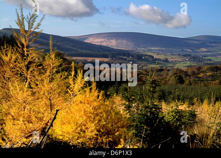 In Autunno le montagne di Wicklow Irlanda Foto Stock