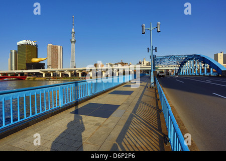 Vista generale dello skyline della città di Asakusa con il Tokyo Skytree Tower e la birra Asahi Headquarters e oro edificio di fiamma Foto Stock