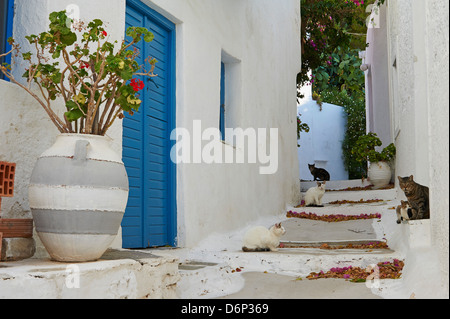 Hora, Serifos Isola, Cicladi, isole greche, Grecia, Europa Foto Stock