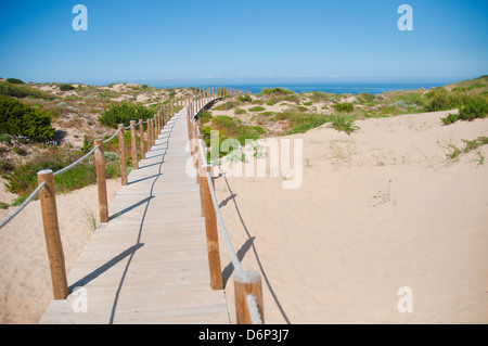 Passerella in legno nelle dune. Foto Stock